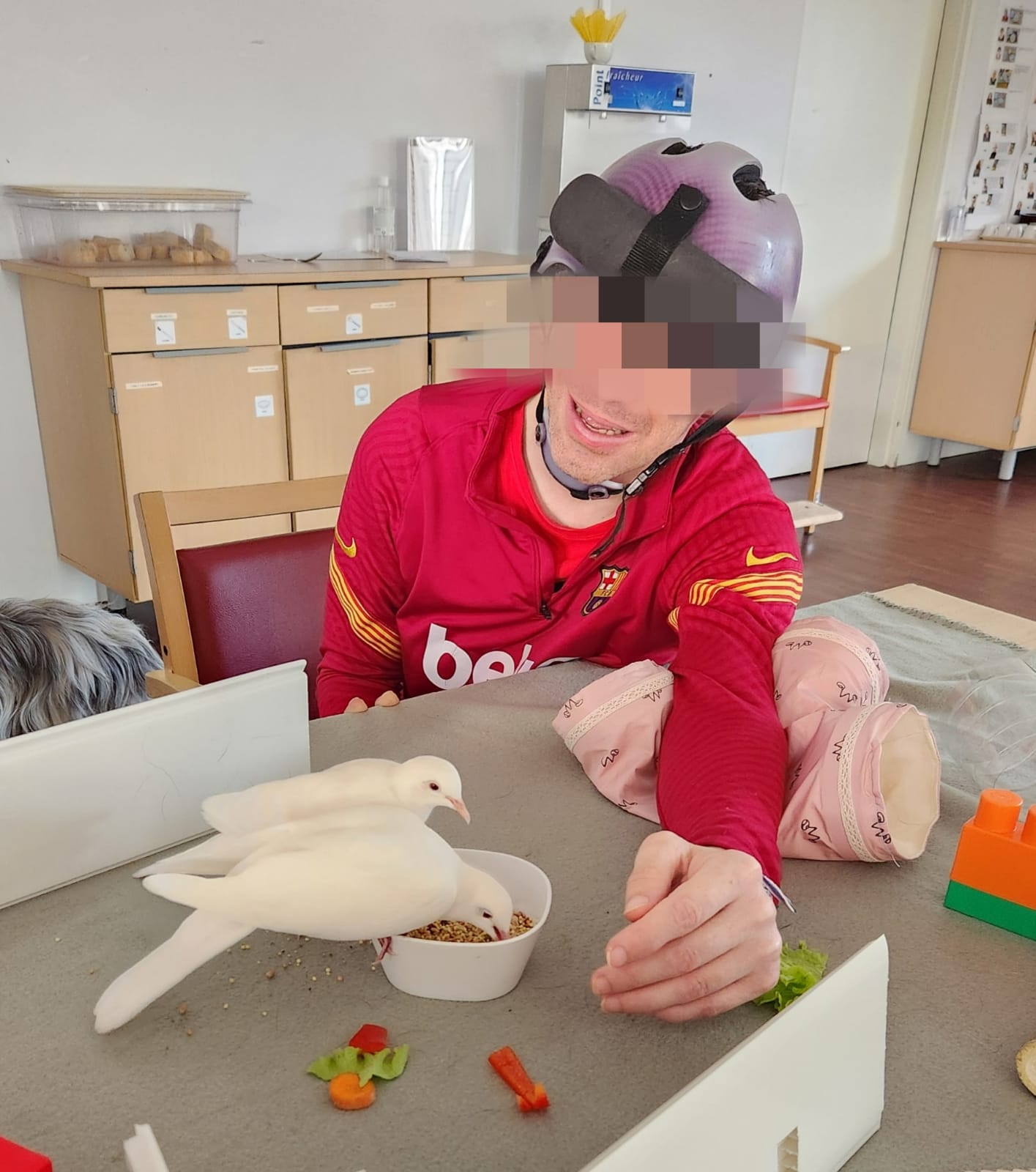 Séance de médiation animale avec un enfant et un cochon d'Inde