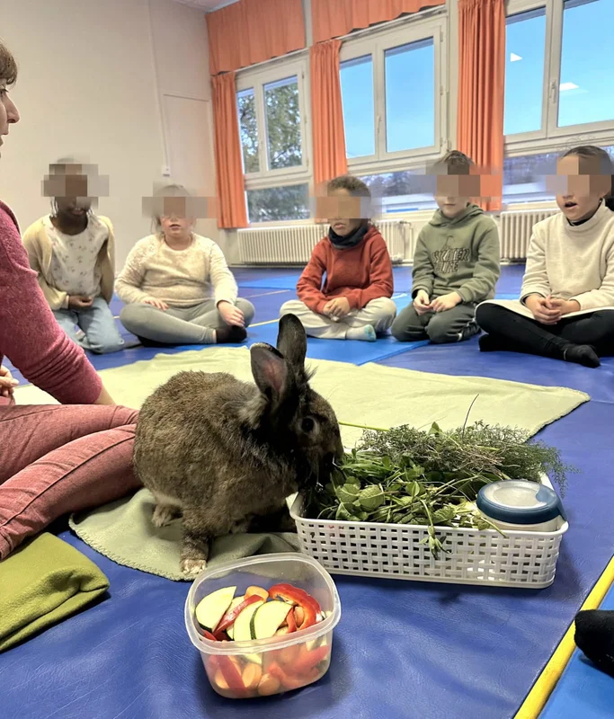 Séance « sensibilisation du bien-être animal dans le cadre d'un Contrat Local d'Accompagnement Scolaire (CLAS) »