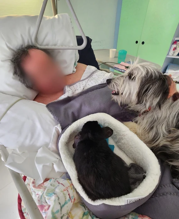 Visite à l'hôpital — Pepsi et Jaya auprès d'un patient hospitalisé