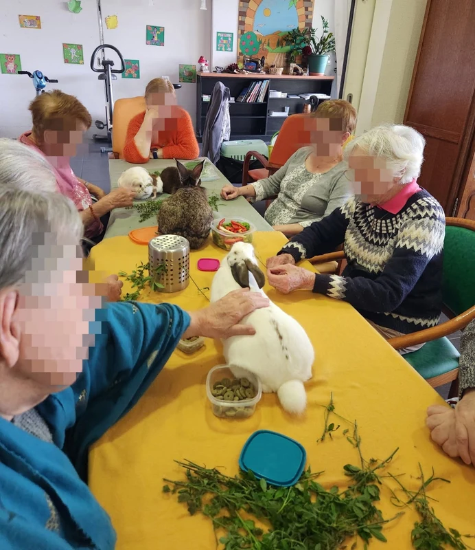 Séance de médiation animale avec une personne âgée en EHPAD